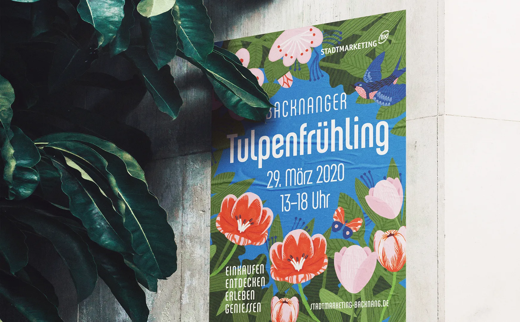 Plakat zum Backnanger Tulpenfrühling mit illustrierten Tulpen an einer Hauswand neben Pflanzen