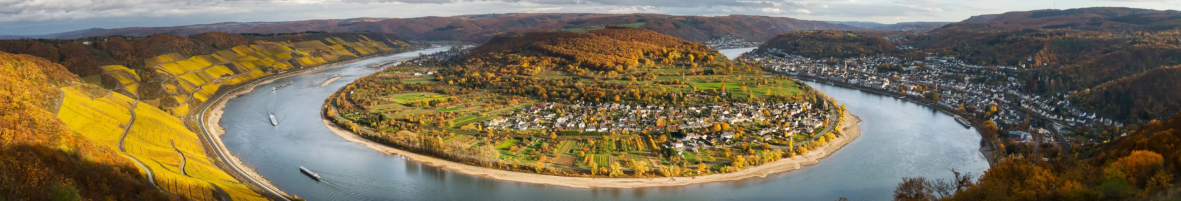 Luftbild der Rheinschleife bei Boppard im Herbst mit Weinbergen und Rheinufer